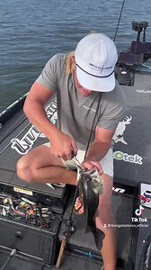 28 reactions | Laker's Tip | Livingston Lures | Facebook