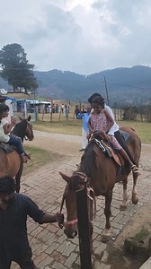 274K views · 2.3K reactions | Mini Vlog 66: Kodaikanal Trip part 2 | Mannavanur Sheep Farm #rajathikamalakannan #rajiskitchen #rkfamilyvlogs #minivlog #instareel | Raji's Kitchen | Facebook