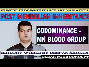 MN Blood Type Genetics I MN Blood Type I MN Blood Group I MN Blood I Codominance- MN Blood Group