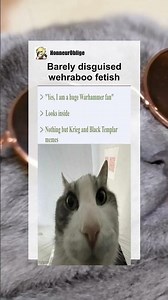 Barely disguised wehraboo fetish #memes #meme #memesdaily