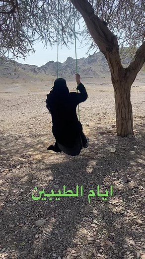 Swinging in Nature: A Moment of Reflection