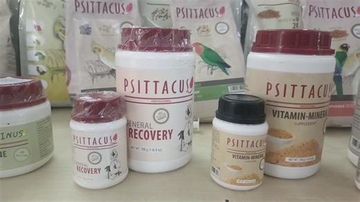 2.1K views · 93 reactions | Bird pallets and Hand feeding formula | Deep Exotics | Authorised dealer of Psittacus #handfeedingformula #parrotlover #pallets | Pet Guruji | Facebook