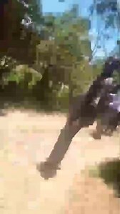 7.7K views · 53 reactions | Hello Nyakundi. This is Kibabii...