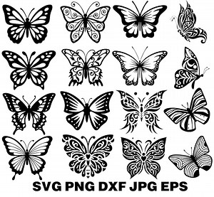 Butterfly SVG | Detailed Butterfly Cut File | Cricut & Silhouette Design | Insect Silhouette | Clipart for Crafts - Etsy Canada