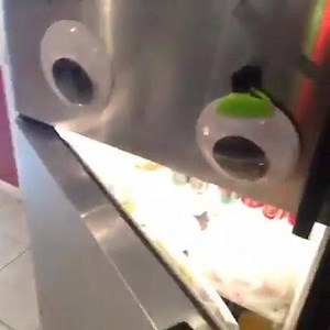 Frank the fridge. My friend. | Austin Carlile