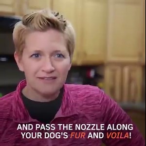 147K views · 575 reactions | If your dog is the type of pet who rolls...