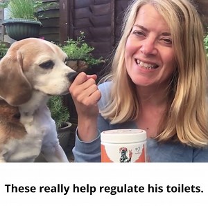 If your only solution to your dog's bum scooting/ anal gland issues is regular expression then you are not tackling the root cause. The truth behind bum scooting is that most of the time it starts in the gut, and it can also end by properly supporting gut health and bowel movement. Giving these Pre & Probiotics daily is the best way to provide support. They are loved and trusted by 80,000 customers across the UK. Learn More ➡️https://nutri-paw.com/products/pre-probiotic-digestive-treats | Nutri 