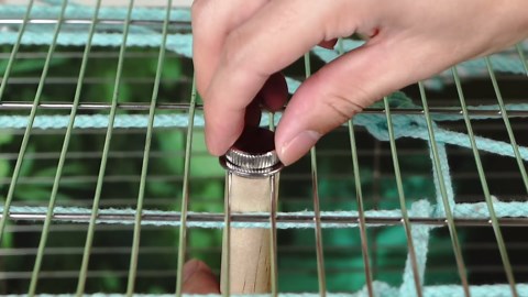 360° Interactive Rotating Bird Perch Toy with Bell - Natural Wood Spinning Cage Accessory for Parakeets, Budgies, Lovebirds, Cockatiels, Conures, Finches and Small/Medium Birds
