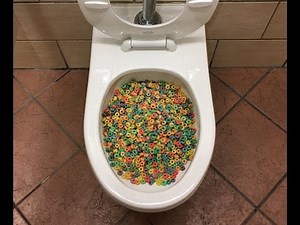 Will it Flush? - Froot Loops