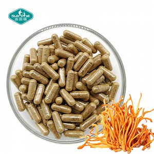 [Hot Item] Nutrifirst Bespoke Formulation Cordyceps Capsule