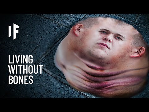 What If We Didn't Have Bones?