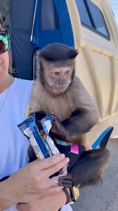 When the Planters Peanut mobile sees you!! And mom tells them I could promote peanuts better than them 🙈😜😂😂😂 super nice folks! #peanuts #planterspeanuts #nutmobile | Gaitlyn Rae