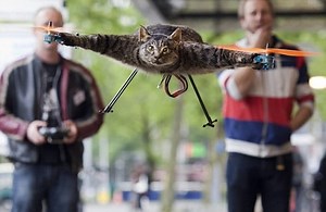 Bart Jansen's Cat-Copter: VIDEO - Towleroad Gay News