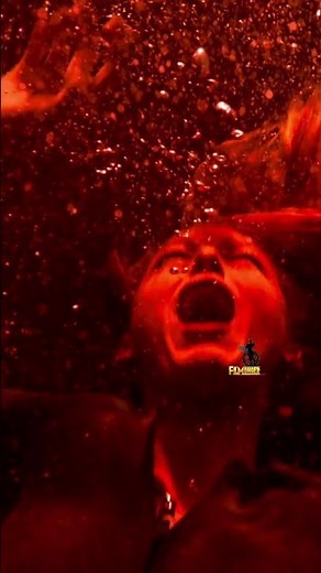 Blake Lively's Terrifying Shark Encounter in The Shallows