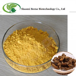 [Hot Item] Supply Coptis Chinensis Extract Berberine HCl Powder Berberine HCl Berberine Hydrochloride Extract Powder