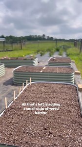 46K views · 705 reactions | We've Redefined The Raised Garden Bed:  Made from Metal Designed to Last 20+ Years ✅ Available in Multiple Sizes 凌 Naturally Yields Stronger Healthier Plants  Long-Lasting, Incredibly Strong  Easy to Assemble | Vego Garden | Facebook