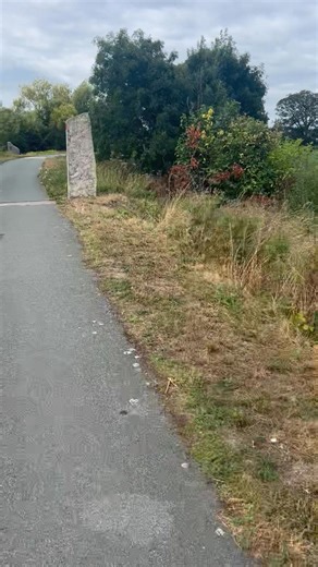 Pete Davies on Reels