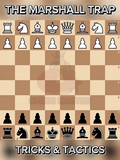 Learn the Marshall Trap | Watch the full Video 👇👇👇 #chessmaster #adsonreels #chesstricks #chesstrap #chesstactics | Chess Master