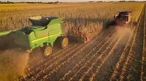 Properly setting your corn head's stripper plate gap is essential for an efficient #corn harvest. Begin with normal settings of 1 1/8-inch gap at the front and 1 3/16-inch gap at the rear, then adjust accordingly to ensure plates are 1/16-inch wider than the diameter of the 3rd cornstalk node above the brace root. Ensure the stripper plate gap is centered over the stalk rolls. Visit https://calmercornheads.com/combine-settings/ to view all of Marion's combine tips for harvesting corn and #soybea