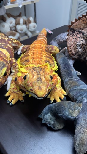 What an amazing collection of lizards heading out today 年 #lizard #lizardlover #lizardtoy #gecko #mountaindevil | Stuffed With Plush Toys | Facebook