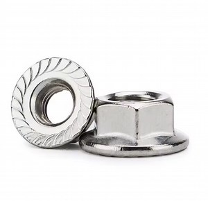 [Hot Item] DIN 6923 Hex Flange Nuts M6 - M100 Hex Bolt