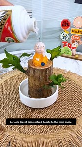 I regret not bringing Brazil wood into my home sooner | Terra Nursery