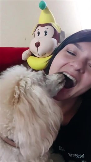 When your dog French kisses you#dog #dogsoftiktok #puppiesoftiktok #kiss#usa #pet | Gangrottie