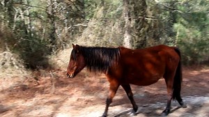 Bay Dream & Puzzle | DSC Photography