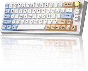 YUNZII VN66 Wireless Hot Swappable Mechanical Keyboard, 65% Layout Keyboard with Knob, Bluetooth/Wired/2.4GHz Wireless RGB Programmable Keyboard for Mac/Win (Krystal Pink Switch, Otter)