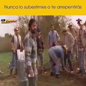 13 reactions | Netflix 2024   弄 | Meridiana cucine | Facebook