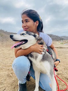 Esta Husky tiene una pata de palo, pero eso no la detiene de jugar. Ahora está en busca de un buen hogar | Helen Rescata