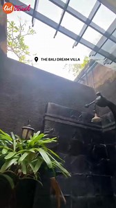 13 reactions | Discover pure honeymoon enchantment at The Bali Dream...