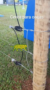 85K views · 560 reactions | Configuração de Cerca Elétrica contra ataque de Onça - ernesto_coser | Rural Pecuária | Facebook