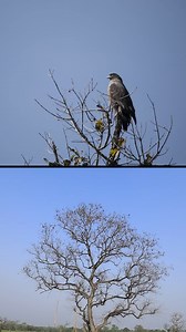 3.5K views · 28 reactions | Gaon Connection on Reels | Facebook