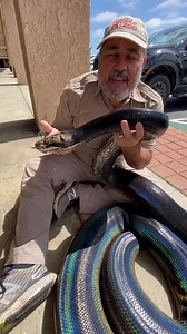 The Reptile Zoo on Reels