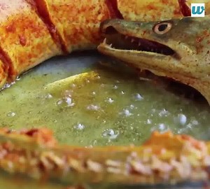 50K views · 27 reactions | Traditional Big Fish Recipe By Our Granny || Country foods For more videos: https://bit.ly/398AbYv | Wirally Food | Facebook