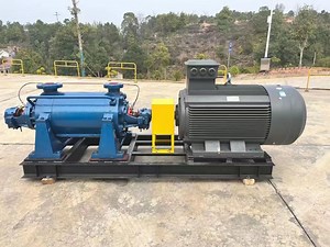 [Hot Item] High-Temperature Boiler Feedwater Pump with Vertically Upward Ports