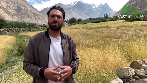 7.7K views · 195 reactions | Locust outbreak in Shimshal valley threatens wheat harvest Report: Taseer Beyg | PAMIR TIMES | Facebook