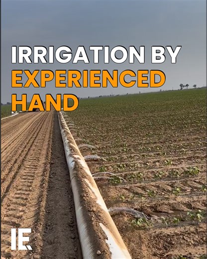 Smart farming is all about getting the best result through the best technology. Sometimes, that involves complex technology - sometimes, not. Choosing where irrigation holes are needed is sometimes best done by eye. | Interesting Engineering