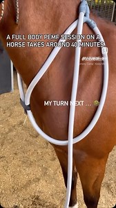 “What’s Happening During PEMF Therapy? ✨ PEMF (Pulsed...