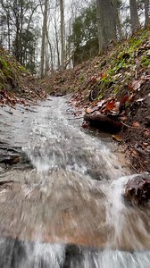 3.7K views | Ohio Hiking Trails and Historical Sites. on Reels | Facebook