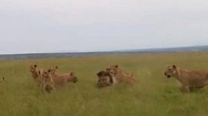 Bagh Dushkhel on Reels