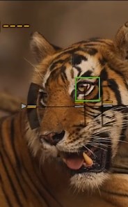 Breathtaking Animal Portraits That Capture Pure Wild Beauty