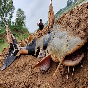 56K views · 1K reactions | Nice Hand Fishing Video River Underground Wet Sand Big Stuck Fish Hunting Top 10 Video #fish_video | Only Fishing | Facebook