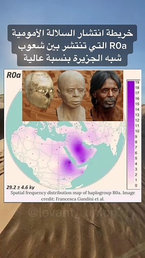 The levant union على TikTok