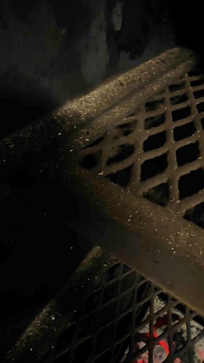 Hot smoked crawfish tail dip, and bone in smoked prime rib | Melba’s Place