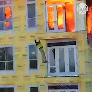 50K views · 356 reactions | Construction worker gets rescued from burning building | Creative Panda | Facebook