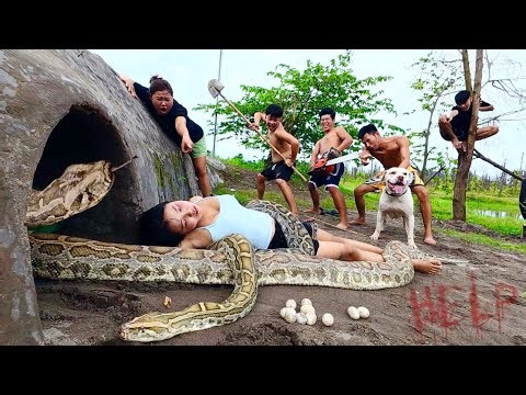 Horrifying! 4 Brave Hunters and Pitbull Rescue Young Girl from 2 Ferocious Giant Pythons Attack