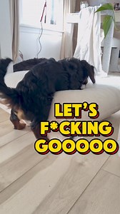 8.5K views · 138 reactions | I’m not a math autistic, but “Everybody loves dogs” + “sex sells” = Marketing Genius 藍藍藍 #comedy #dogs #standup #pillowtalk #loveislove #didntseethatcoming #captainautism | AJ Wilkerson | Facebook