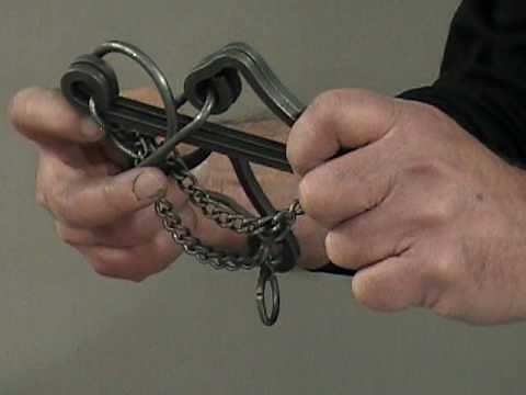 FREEDOM'S RING TAVERN PUZZLE SOLUTION DEMONSTRATION